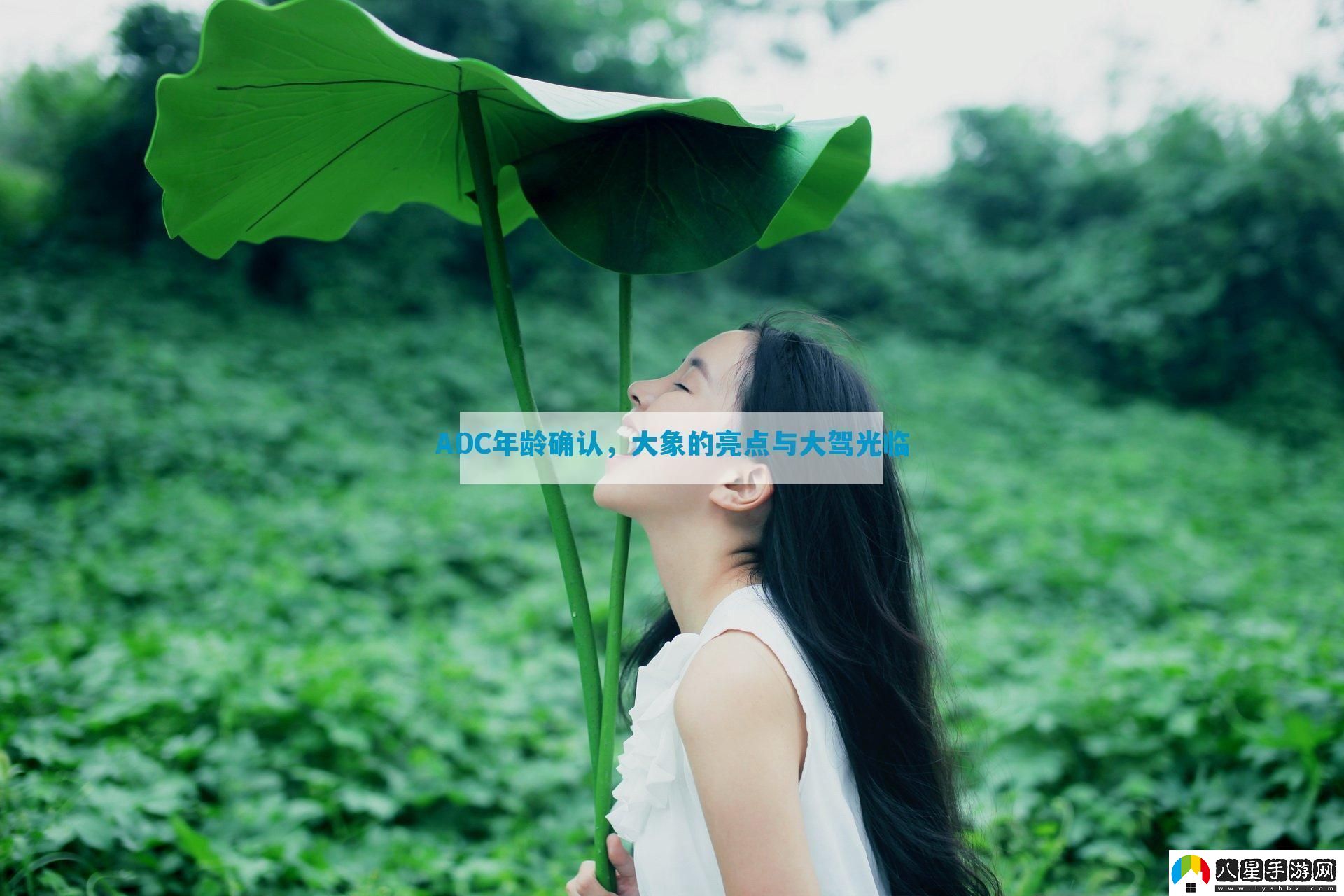 ADC年齡確認(rèn)大象的亮點(diǎn)與大駕光臨