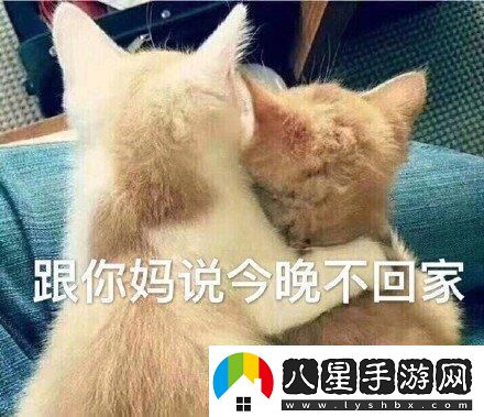 “媽媽說