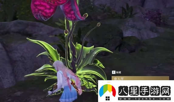 永劫無間龍隱洞天食人芋位置分享