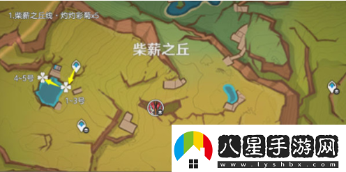 原神5.1灼灼彩菊在哪刷新