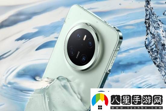 華為Mate