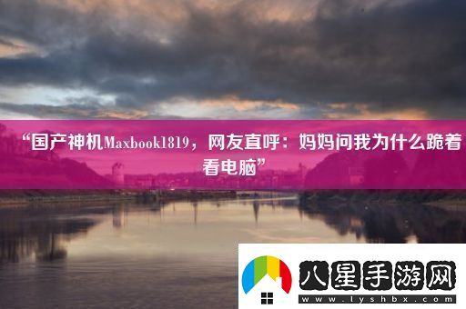 “國產(chǎn)神機(jī)Maxbook1819友直呼