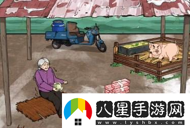 文字來找茬豬圈老人通關(guān)攻略