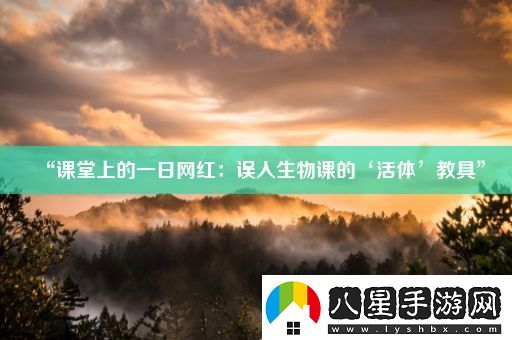 “課堂上的一日網(wǎng)紅