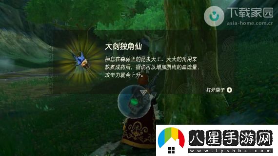 塞爾達(dá)傳說王國之淚獨(dú)角仙獲取位置及詳細(xì)攻略解析