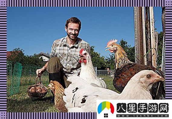 潮起禽落