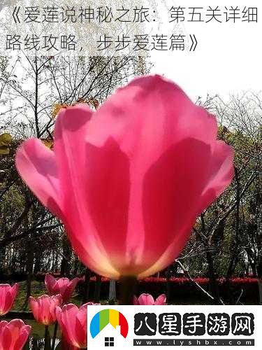愛(ài)蓮說(shuō)神秘之旅