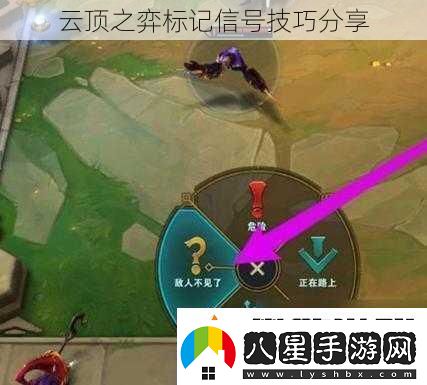 云頂之弈標記信號技巧分享