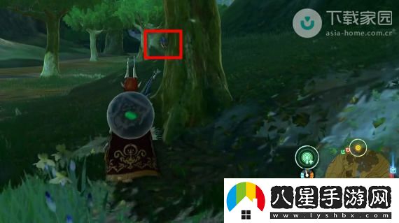 塞爾達(dá)傳說王國之淚獨(dú)角仙獲取位置及詳細(xì)攻略解析
