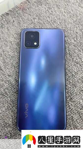 vivoy31S