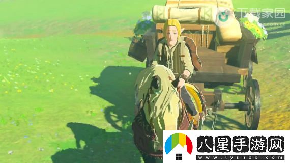 塞爾達(dá)傳說王國之淚獨(dú)角仙獲取位置及詳細(xì)攻略解析