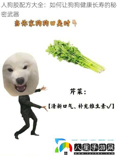 人狗膠配方大全