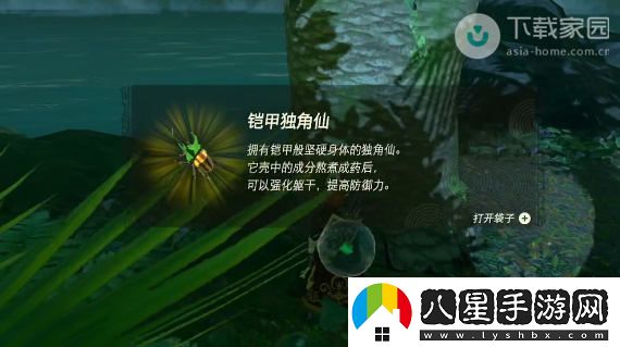 塞爾達(dá)傳說王國之淚獨(dú)角仙獲取位置及詳細(xì)攻略解析