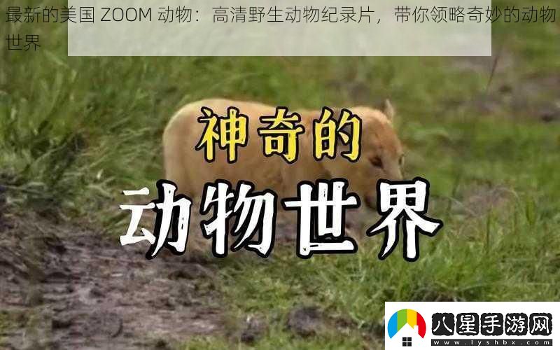 最新的美國ZOOM動(dòng)物