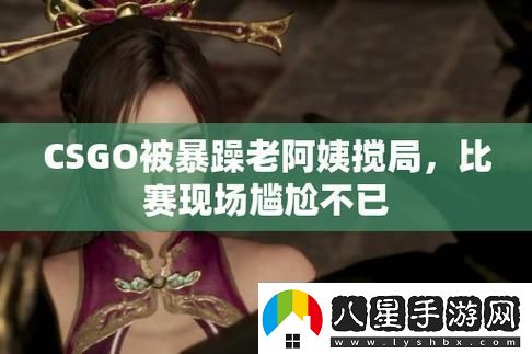 暴躁老阿姨玩CSGO網(wǎng)友