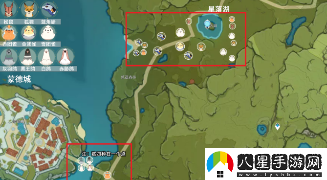原神小動(dòng)物分布位置大全