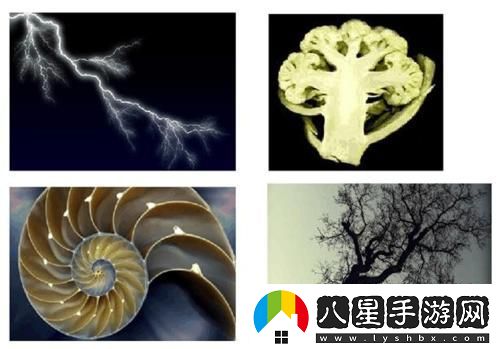 “空間相似性”奇葩說