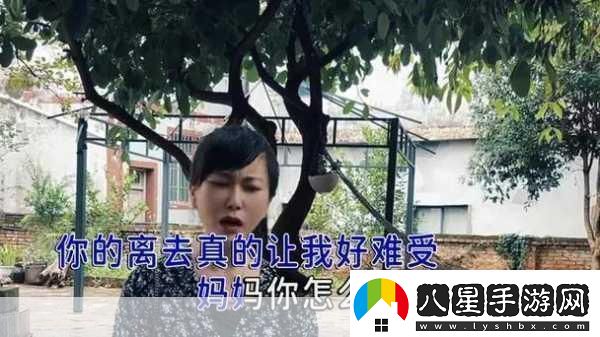 高清mv媽媽我想你看完淚目1.媽媽我在異鄉(xiāng)思念您的溫暖懷抱
