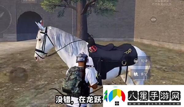 和平精英在哪騎馬