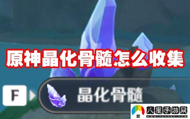 如何高效收集原神中的晶化骨髓，獲得更多資源的方法