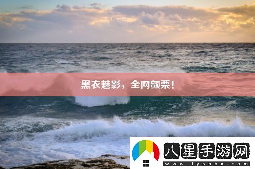 黑衣魅影
