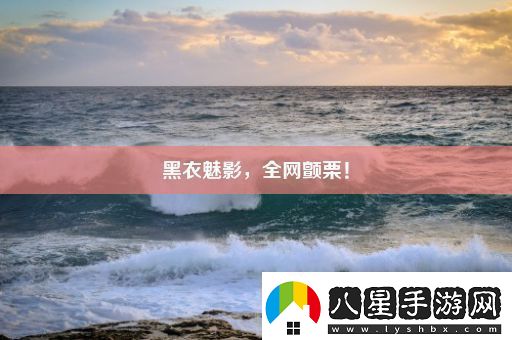 黑衣魅影