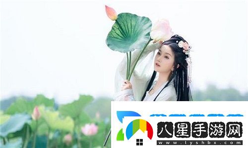 探索數(shù)字世界的無(wú)限可能