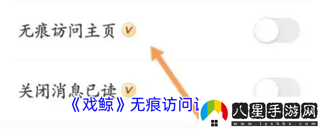 戲鯨怎么隱身訪問