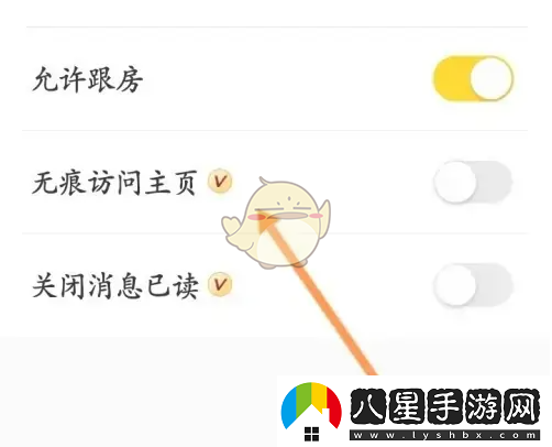 戲鯨怎么隱身訪問