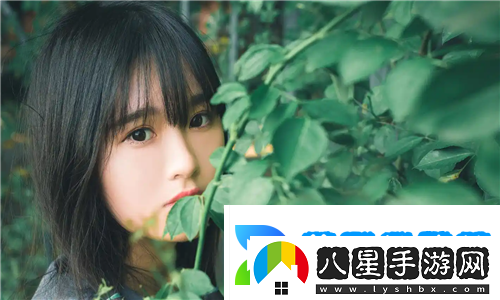 日本免費saas