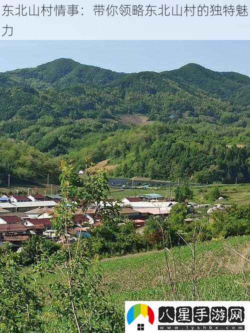 東北山村情事