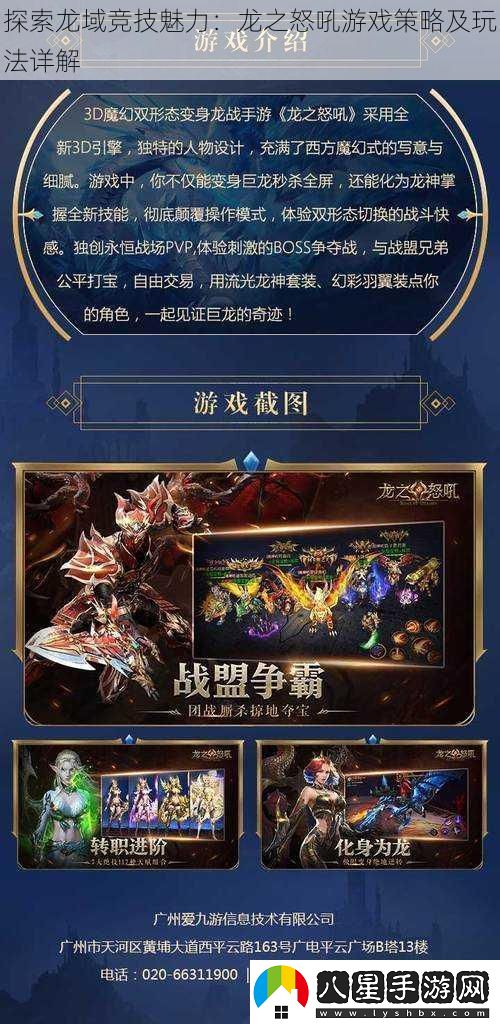 探索龍域競技魅力