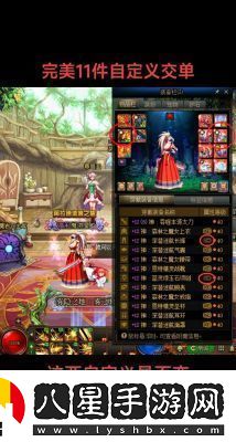地下城與勇士DNF絕版寶寶收藏指南！