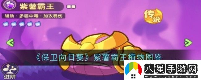 保衛(wèi)向日葵紫薯霸王植物圖鑒