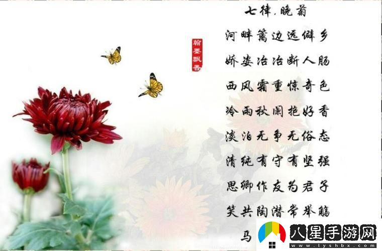 “錯題放筆