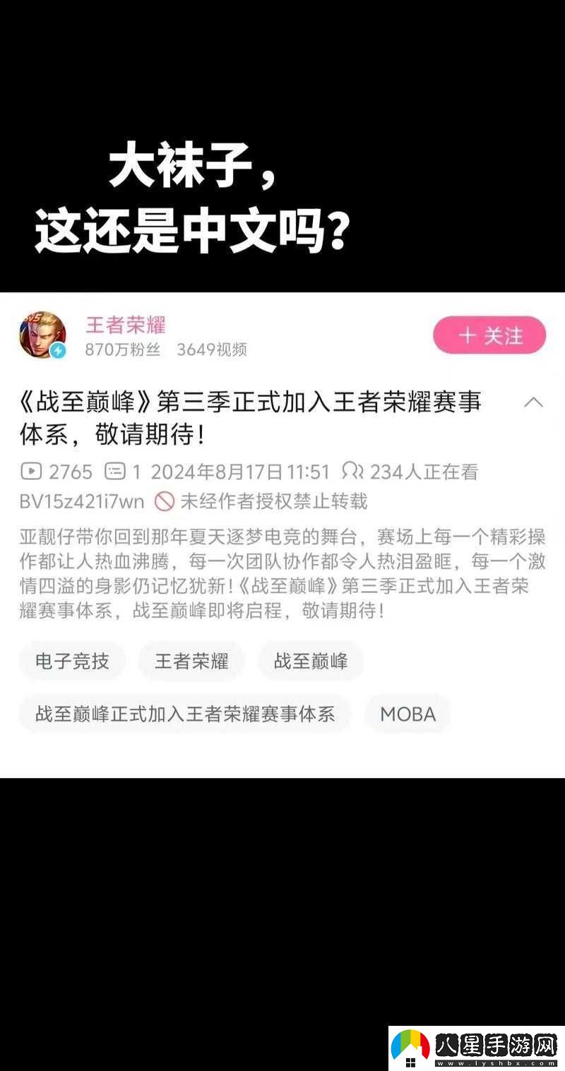 王者榮耀戰(zhàn)至巔峰