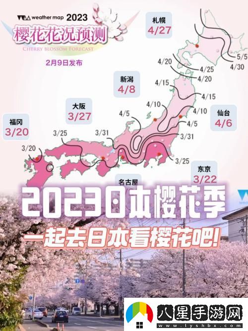 櫻花最新最新入門站2023