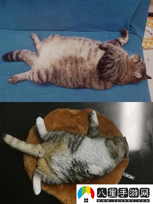 瘋狂科技潮！除了柚子貓和玩偶