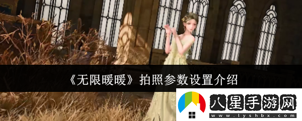 無限暖暖拍照參數(shù)設置介紹