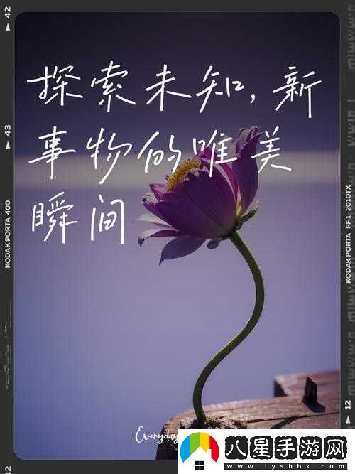 成免費(fèi)