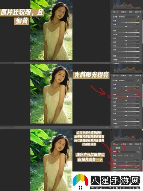 探索“PS一級二級調(diào)色大片”的魅力與技巧