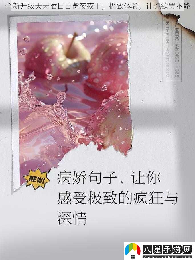 全新升級(jí)天天插日日胔夜夜干