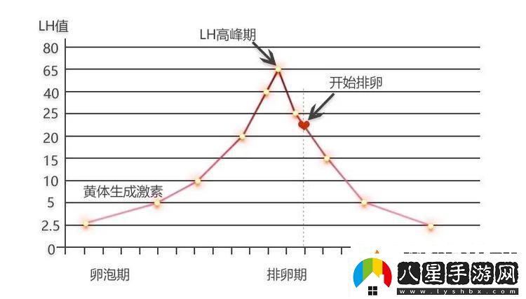 高能粒子碰撞