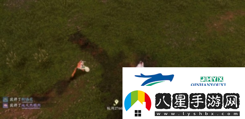 逆水寒手游仙居原動(dòng)物好感度怎么提升