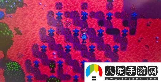 星露谷物語中鯰魚的釣魚技巧與攻略詳解