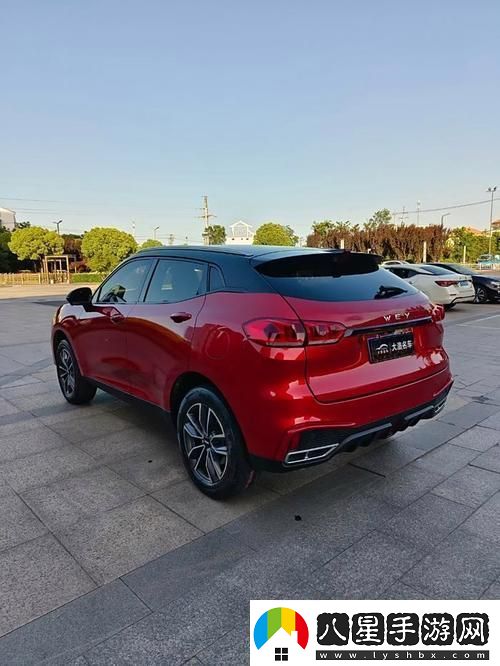 領(lǐng)先科技WEYVV5國(guó)產(chǎn)車型