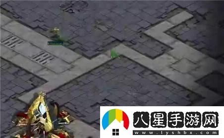 深度解析wow懷舊服黑翼之巢副本攻略與技巧