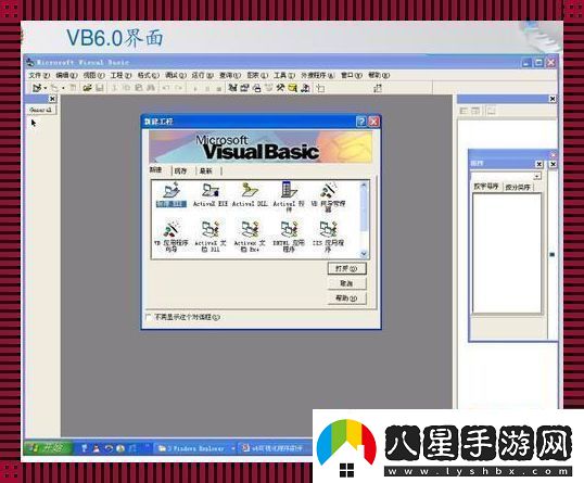 VB語(yǔ)言我嘲我自己的“高光”時(shí)刻