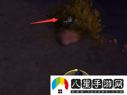 魔獸世界飛掠裂口地下堡堅固寶箱具體位置詳解與獲取方法