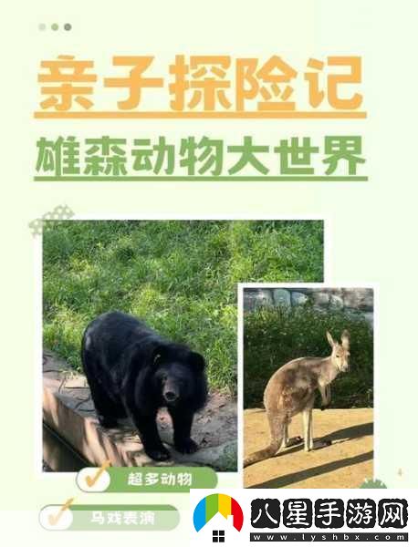 探索奇妙溝通之旅